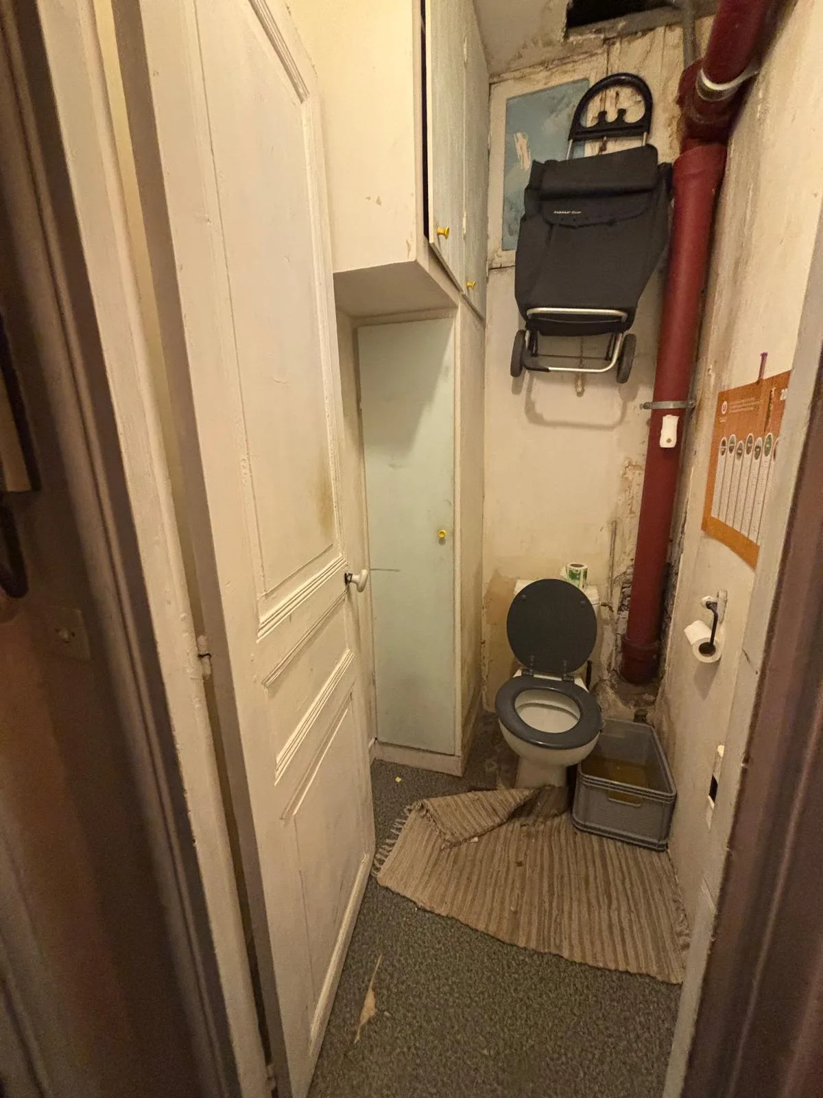 WC d'origine dans un appartement de Saint-Denis avant travaux : cuvette vétuste, colonne apparente et murs abîmés